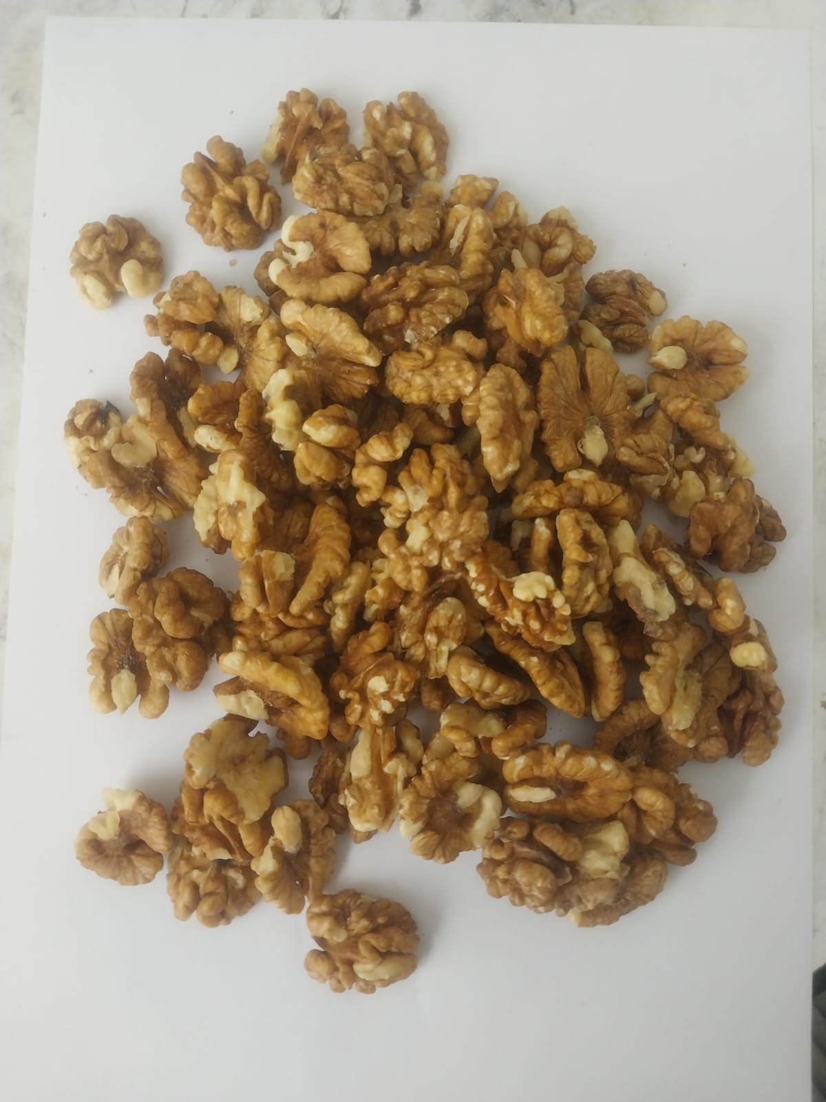 Kashmiri Walnut Kernel – Light Brown